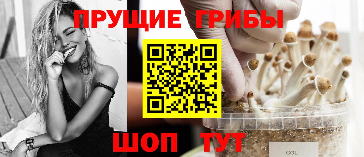 купить   Псилоцибиновые грибы GOLDEN TEACHER  Ступино  Вход с VPN  Галлюциногенные грибы GOLDEN TEACHER 
